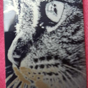 Pendentif plaque chat
